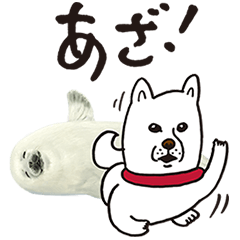 白戸家お父さん ギャル語講座