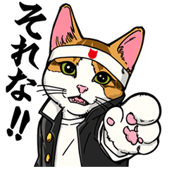 なめ猫 学割応援団！