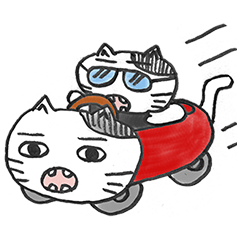 ゾゾタウン箱猫マックス第2弾