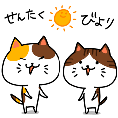 デリウォッシュ