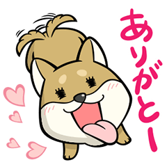 いぬ・ねこのきもち「柴太郎」と「はちこ」