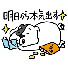 ゆるかわ「たま丸」スタンプ