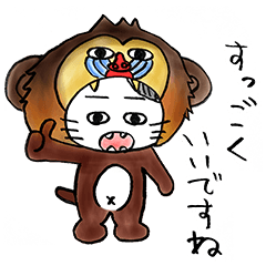 ゾゾタウン箱猫マックス第3弾