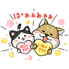 全16種★「柴太郎」＆「はちこ」第2弾