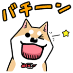 いとしのムーコ Part2