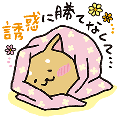 いいわけん3 たっぷり言い訳