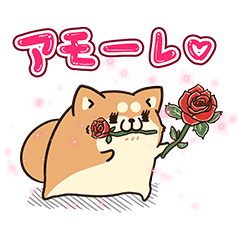 アモーレ♡ボンレス犬＆ボンレス猫