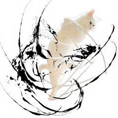 自由すぎる！無重力猫ミルコ