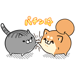 ボンレス犬猫 x 便利アカウント