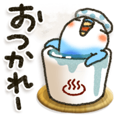 インコちゃん活躍の年！