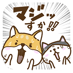 新キャラでたよ！柴太郎＆はちこ第3弾