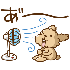 トイプーのぷう太郎 夏のだらだら編