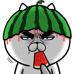 目ヂカラ☆にゃんこ11