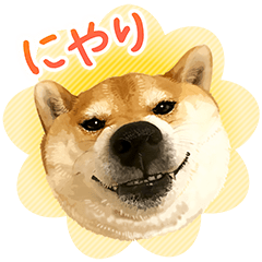 大人気＆有名人いぬねこコラボスタンプを実際にゲットして、トークで遊んでみた。