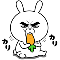 目ヂカラ☆うさぎを実際にゲットして、トークで遊んでみた。