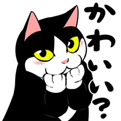 おはぎ５を実際にゲットして、トークで遊んでみた。