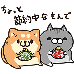 節約に励むボンレス犬＆ボンレス猫を実際にゲットして、トークで遊んでみた。