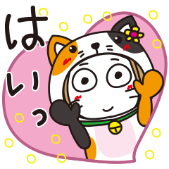 はな子✿にゃんこ。、まとめ