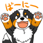 バーニースタンプ