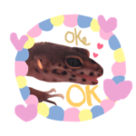 ヒョウモントカゲモドキのもちちゃんです。