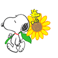 スヌーピー 夏のアニメスタンプ
