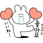韓国人がよく使う韓国語♡ウサギ