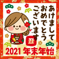 飛び出す!かわいい主婦の1日 2021年末年始