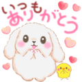 気持ちを伝えるBabyうさぎさん