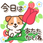 陽気なジャックわんこ4