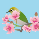 サクラ、桜、さくら