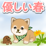 優しい春 よちよち豆柴