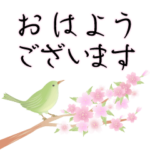 桜が背景で舞う！大人の和柄 春のウグイス