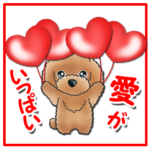 TOY POODLE トイプードル V5 愛がいっぱい