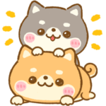 飛び出す♡豆柴日和