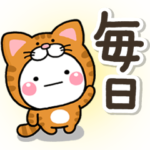 毎日便利♪大人のねこかぶりのしろまる