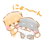 2匹の日常❤️いやしばいぬ❤️