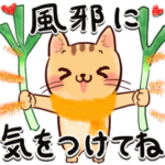 年始→春ねこにゃん♡