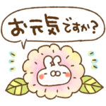ねことうさぎの♡ほのぼの敬語♡