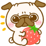 かわいい♡パグちゃん