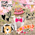 入学・誕生日・お祝い写真をデコるスタンプ