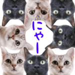 飛び出すハイテンションにゃんこリメイク2