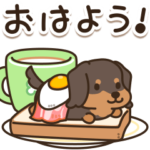 ほのぼのダックス日和♪