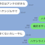 母から来た爆笑LINEオカン語録#4：母「あんたの好きなハヤシジル」