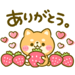 ほのぼの♡豆柴日和