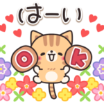 優しさいっぱいのトラネコさん