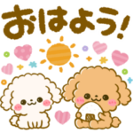 デカ文字♡ふわもこ♡トイプー