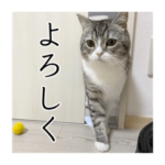 もち様スタンプ