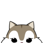 Hush Hush リスとコヨーテ⑥