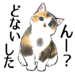 うちの子いちばん！ 2