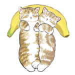 にゃんこスイーツ!